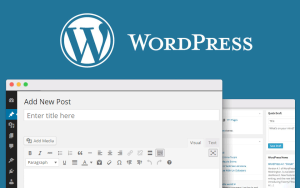Özel WordPress Tema Tasarımı